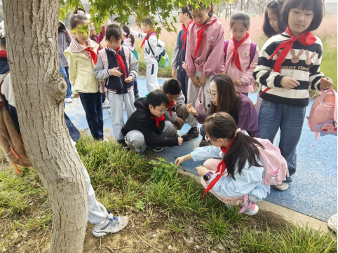 官网稿件+公园变 “课堂” 药材成 “教具” ,张家港市中医医院为小学生解锁中医药奥秘(1)207.png